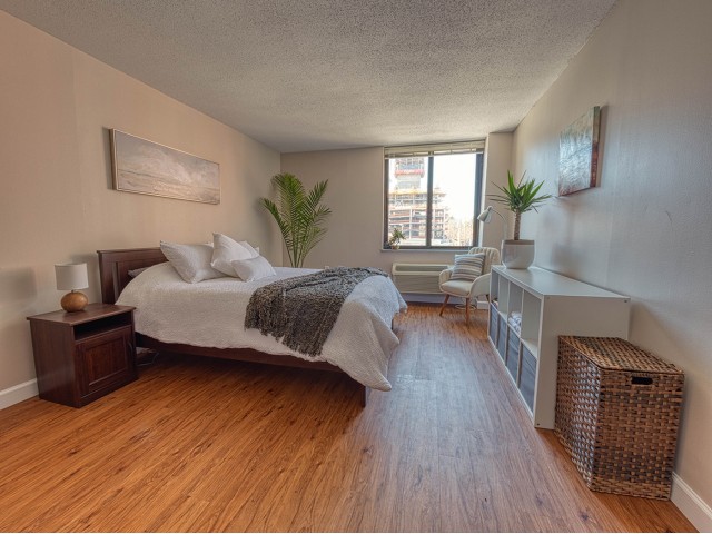 Del Coronado Image 11