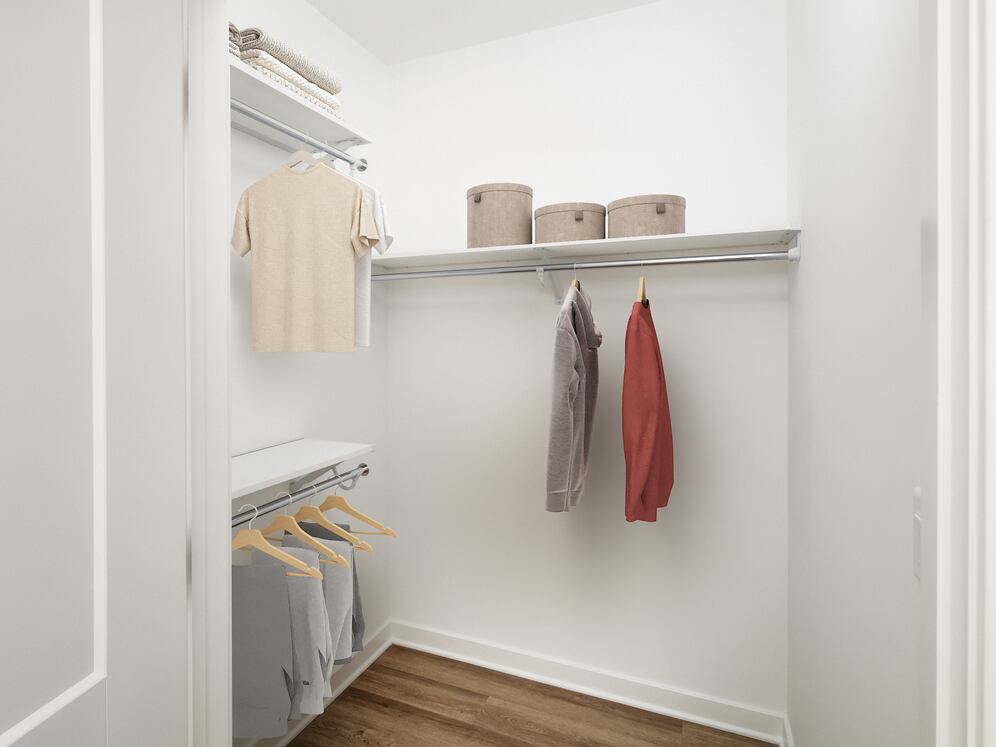 Spacious walk-in closet