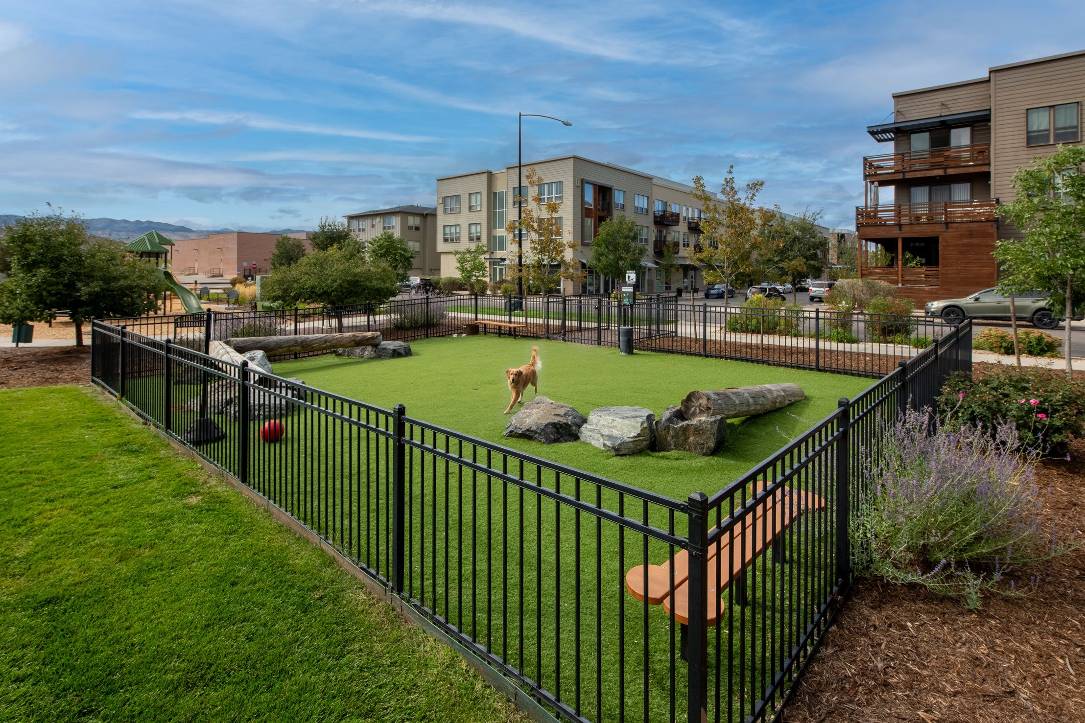 Pet Park