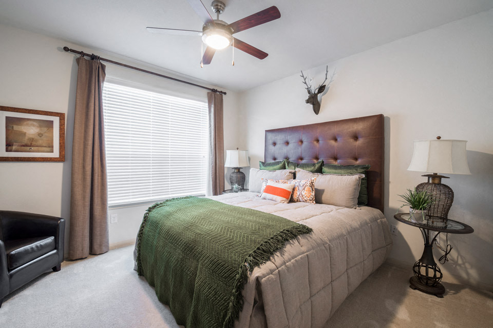 Contemporary Fans Throughout