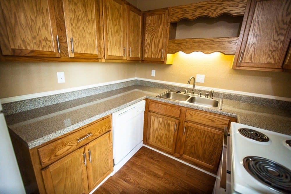 Mountain Woods Image 7