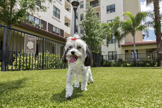 Camden Boca Raton Image 25