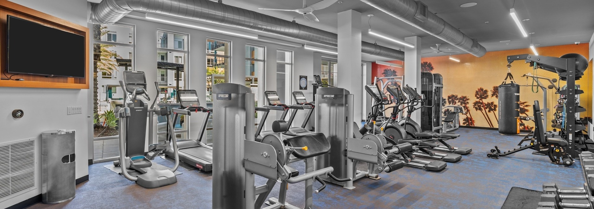 AMLI Uptown Orange Image 6