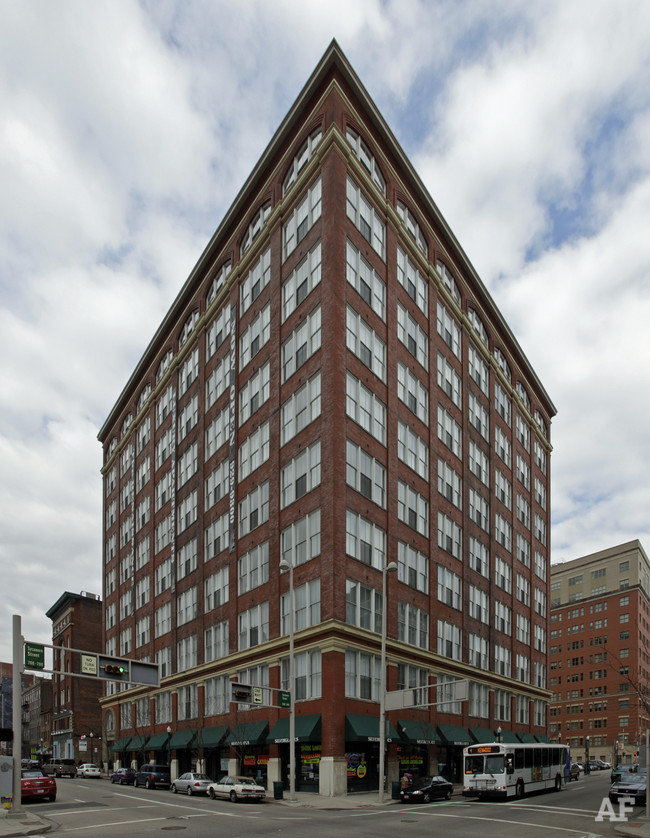 The Renaissance Image 2