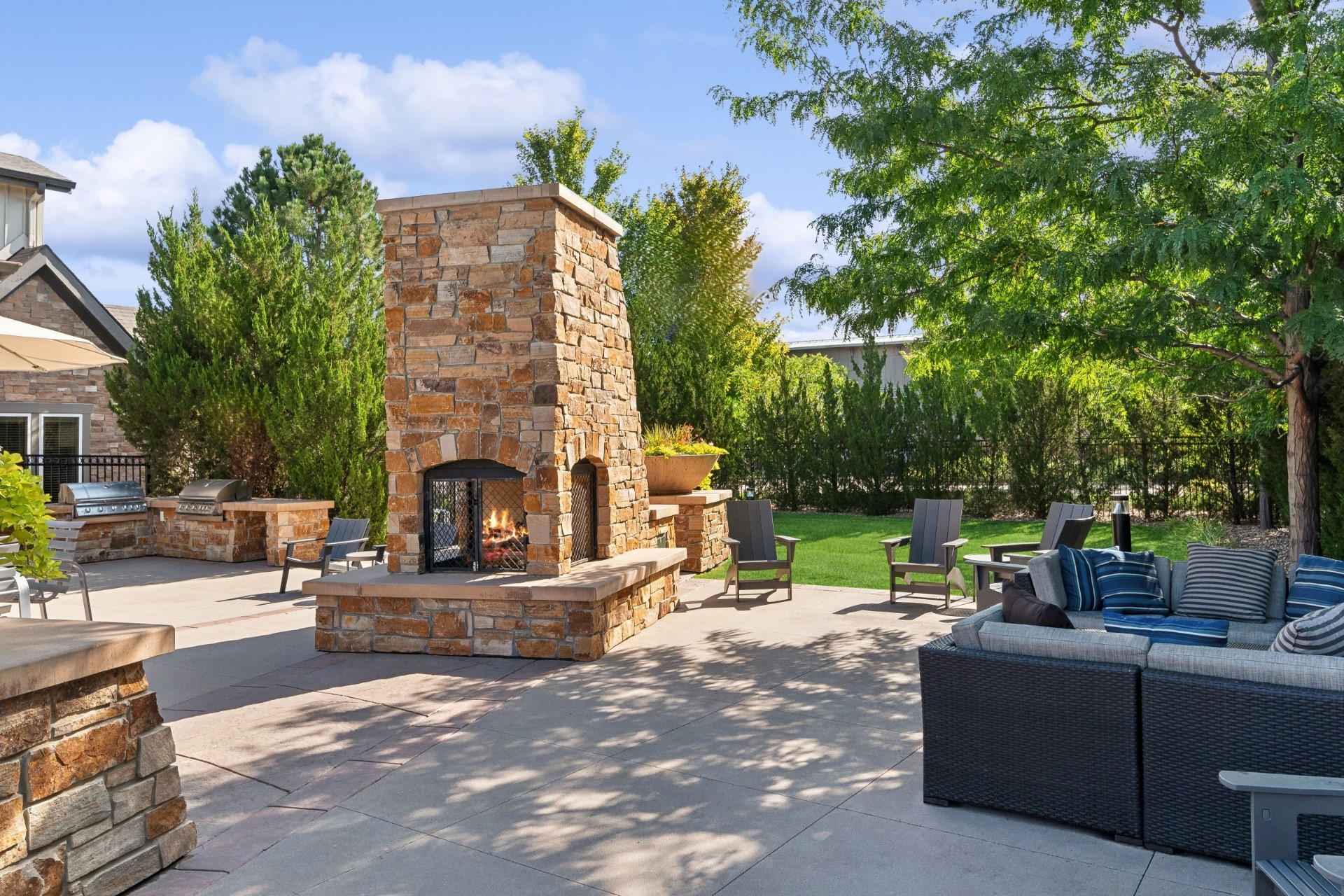 Berkshire Aspen Grove Image 17