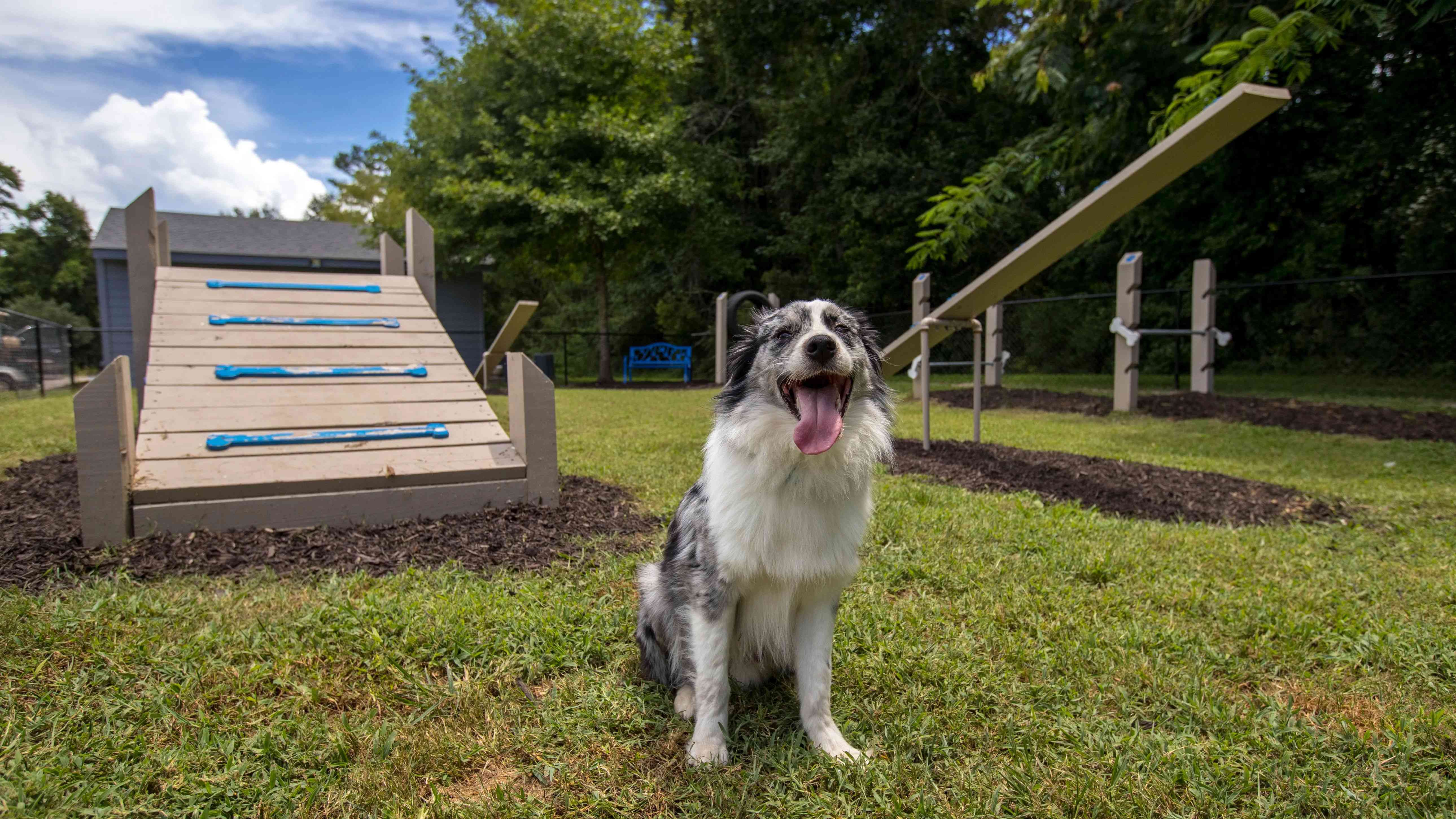 Unleash the fun! Our Bark Park is a haven for furry adventurers. Enjoy pet-friendly living at its finest.