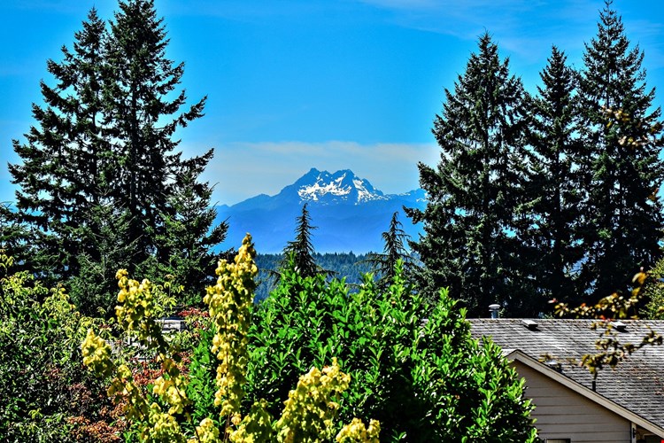 The Reserve at Bucklin Hill Image 26