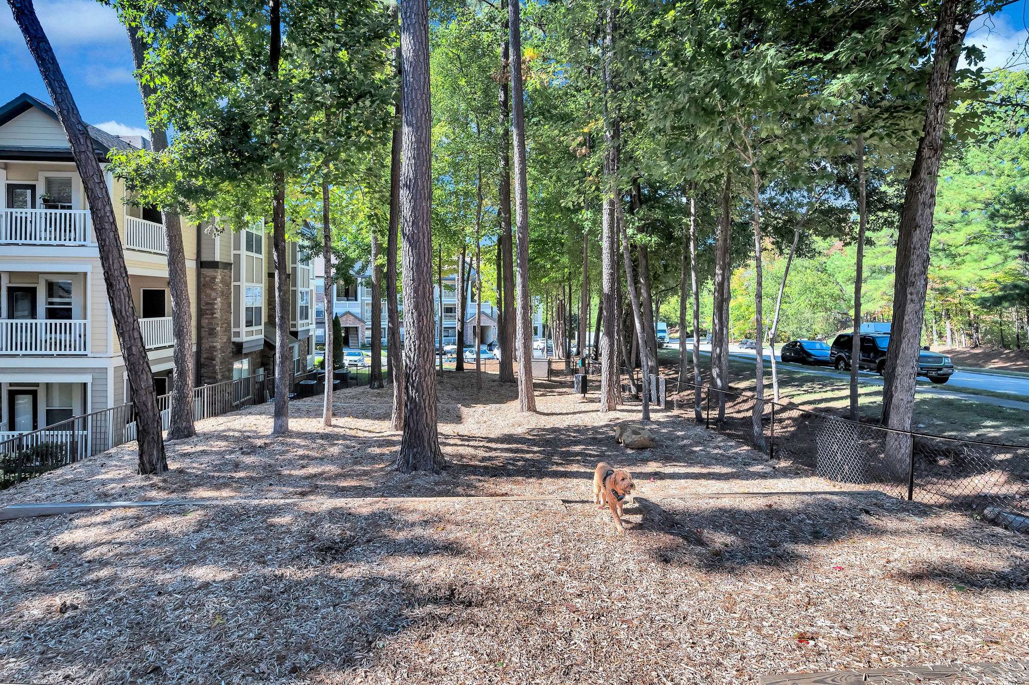 Camden Asbury Village Image 38