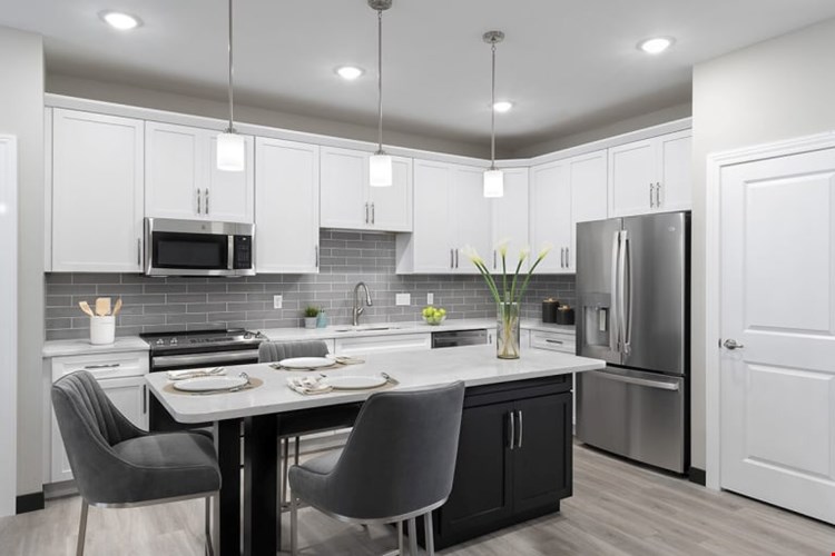 The Oasis at Hartman Lakes - 55+ COMMUNITY Image 4