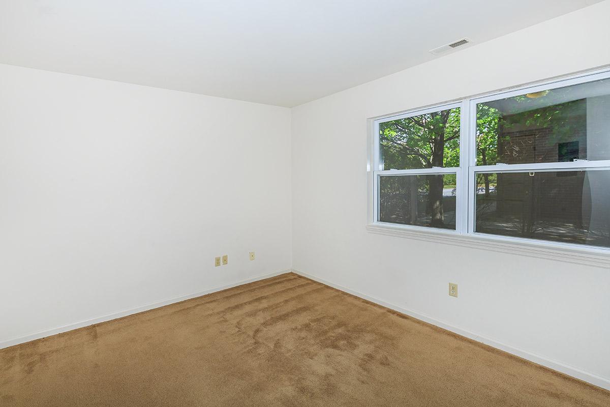 Blue Spruce Image 13