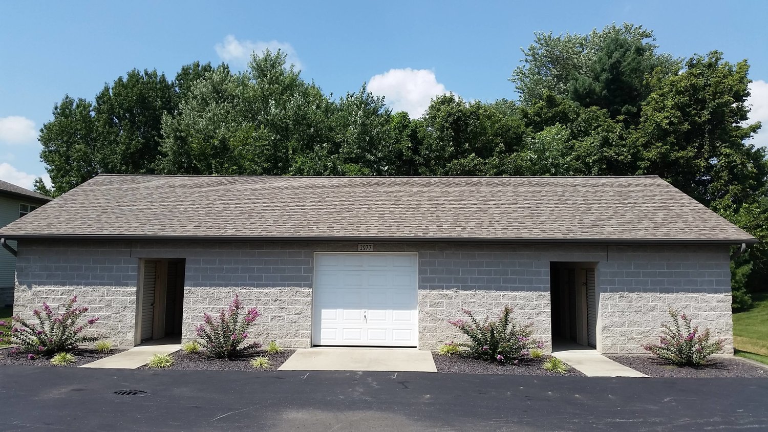 Storyboard on Wisteria Image 12