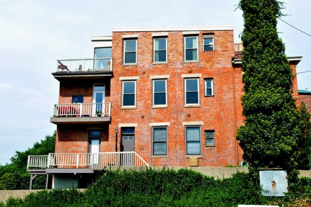 317 Baum Image 3
