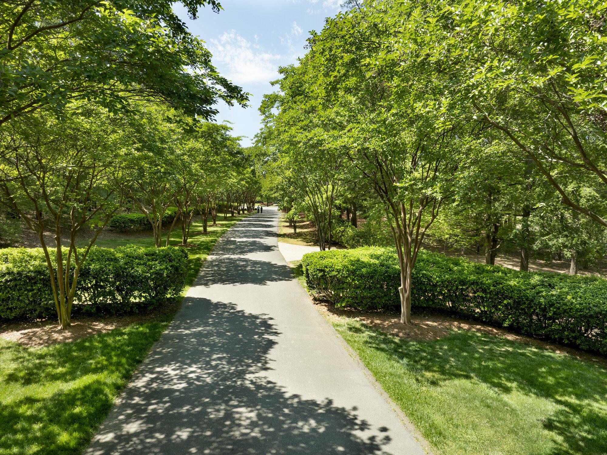 Camden South Charlotte Image 51