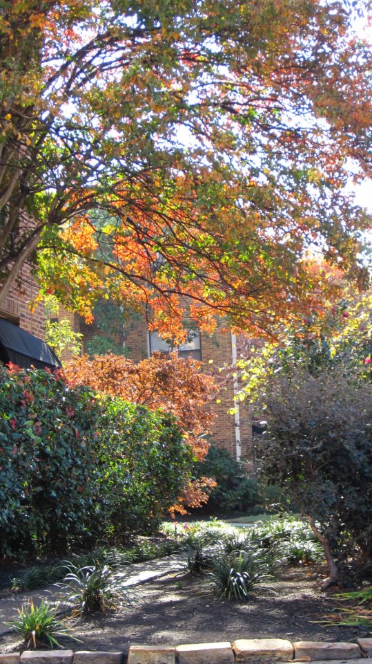 The Gilmore Apartments Image 5