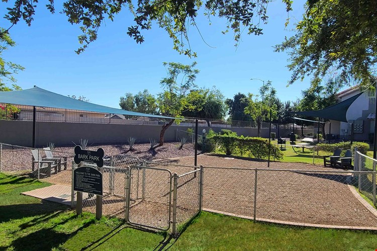 Let your furry friends roam leash-free in our expansive bark park. Afterward, pamper them at our pet spa station. They'll adore calling Exchange on the 8 home!