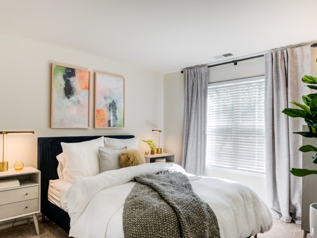 Treetops at Chester Hollow Image 31