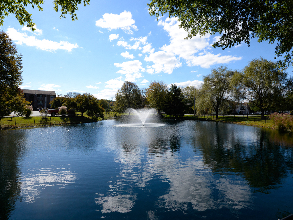 Woodsdale Apartments Image 11