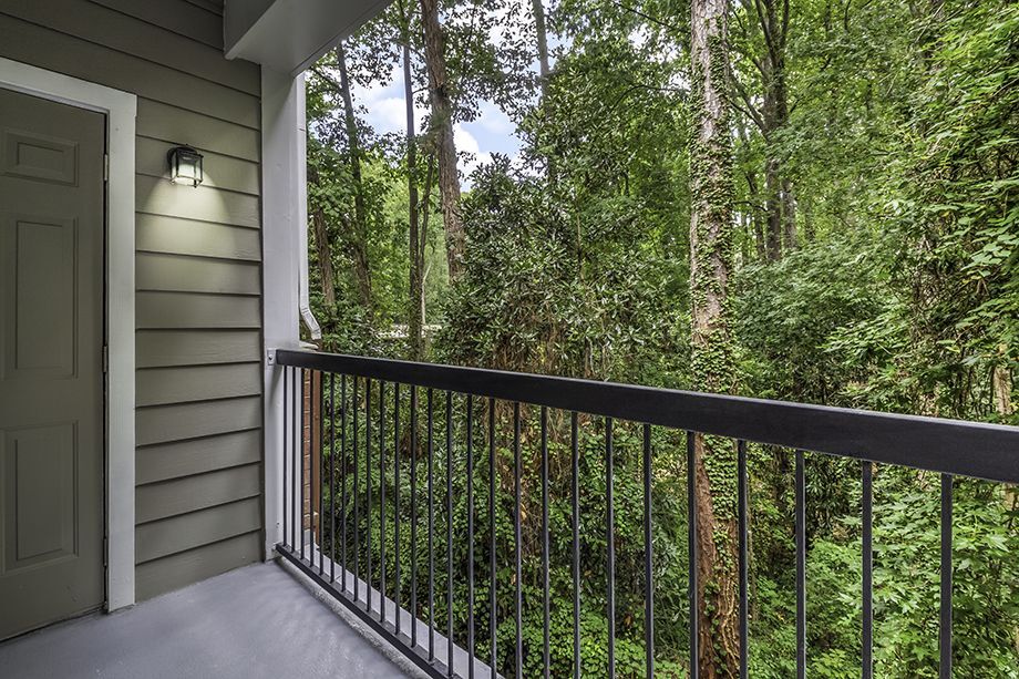 Camden Phipps Image 11