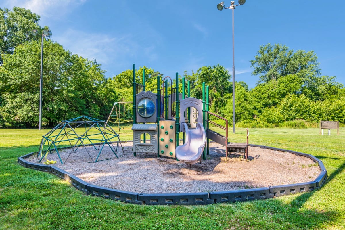 Sabal Point Image 21