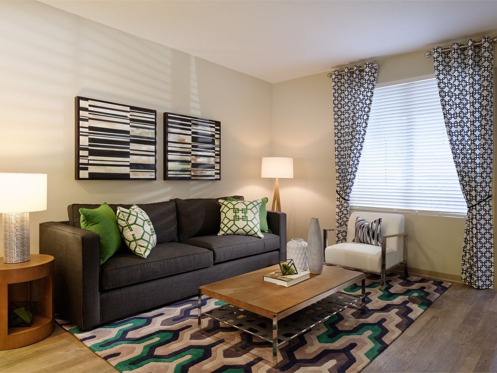 One Bedroom Apartment Living Room