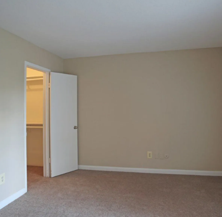 Serena Forest Image 5