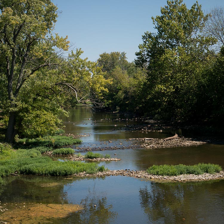 Trailview Apartments Image 2