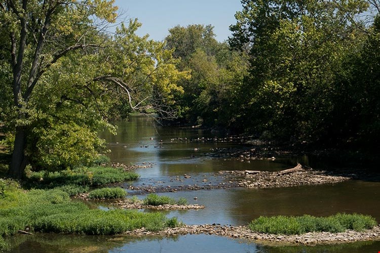 Trailview Apartments Image 2