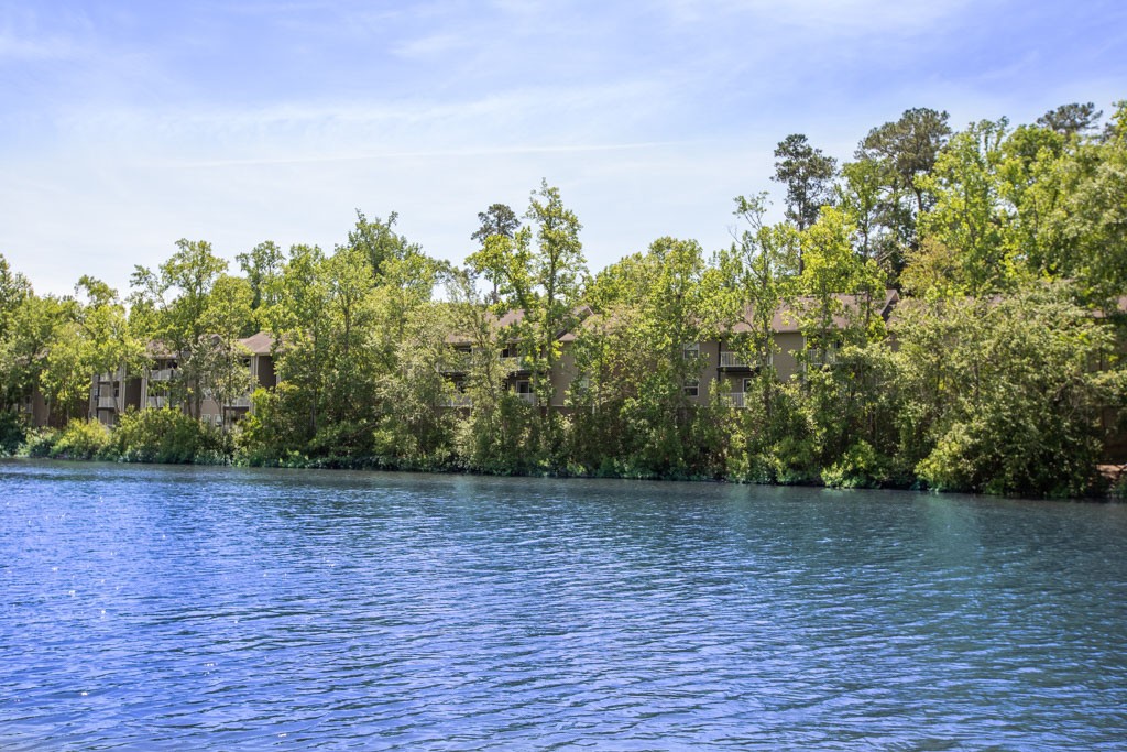 Bay Breeze Apartments Image 7