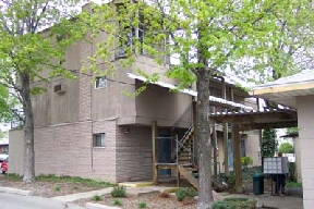 ambers The Vines Image 1