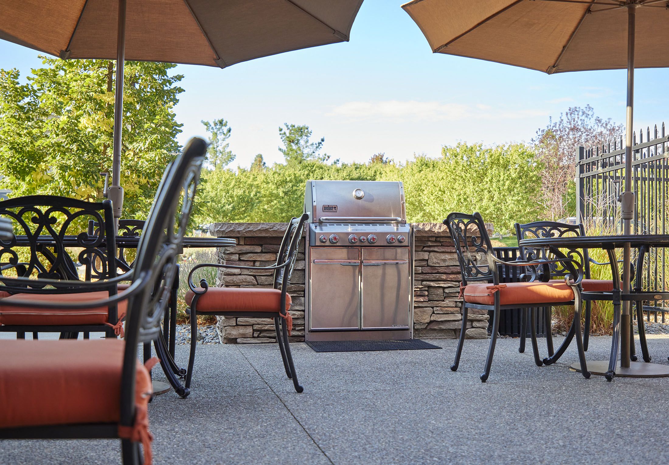 BBQ Grills