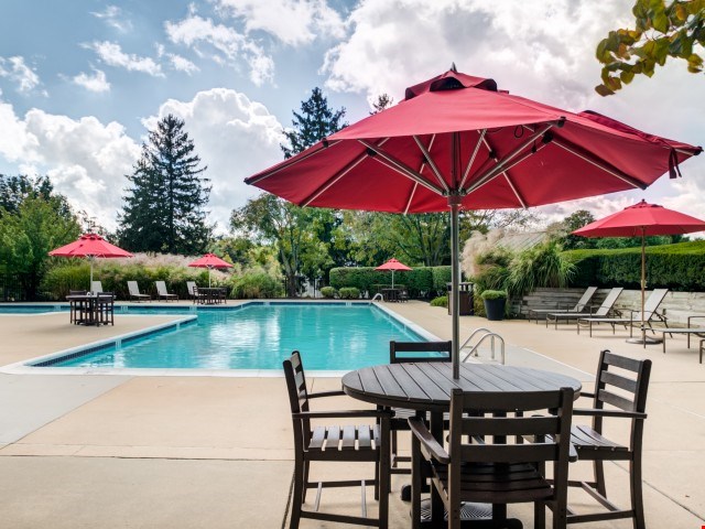 Treetops at Chester Hollow Image 1