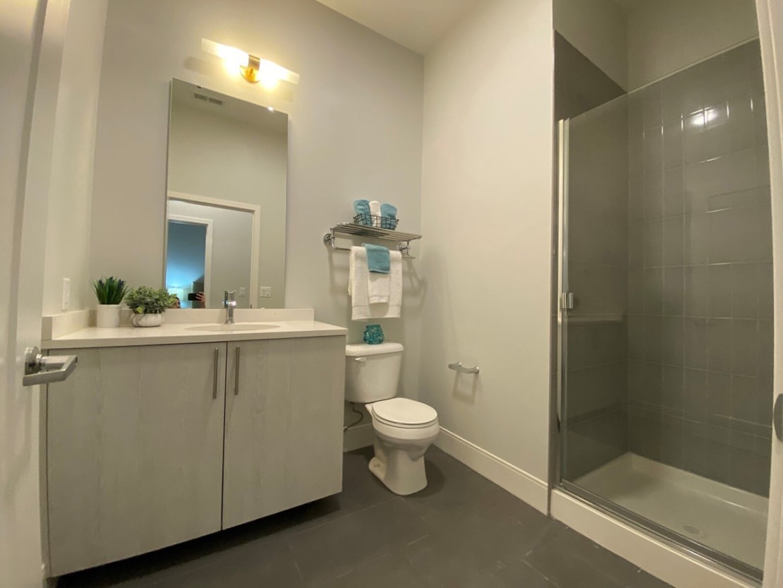 The Georgian Image 3