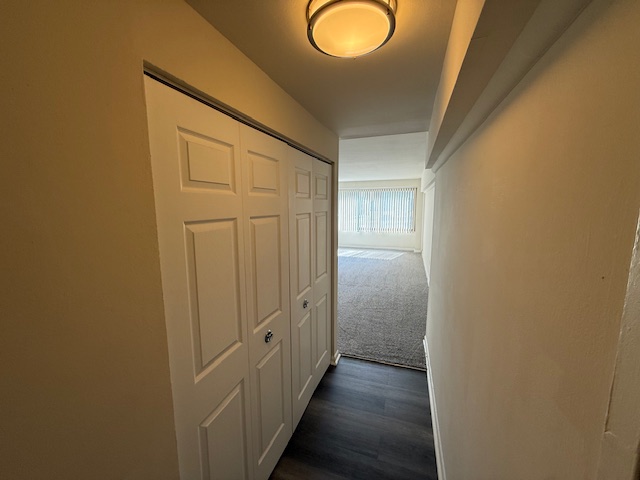 Silver Spring Towers Image 8