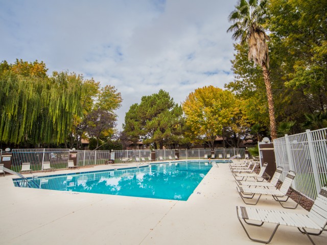 Desert Tree Apartments Image 1