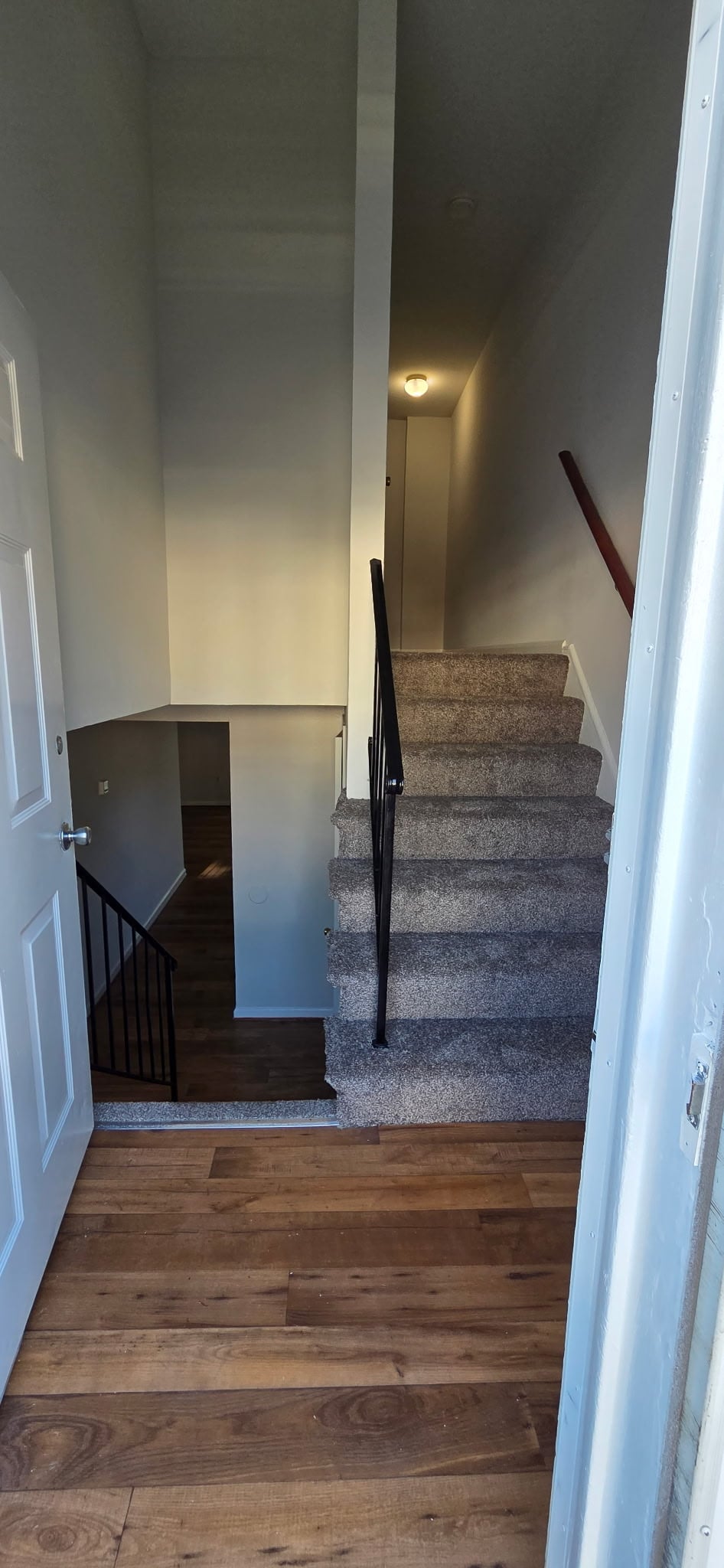 Longview Image 149