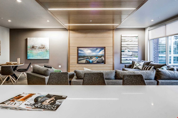 Springline  Image 31