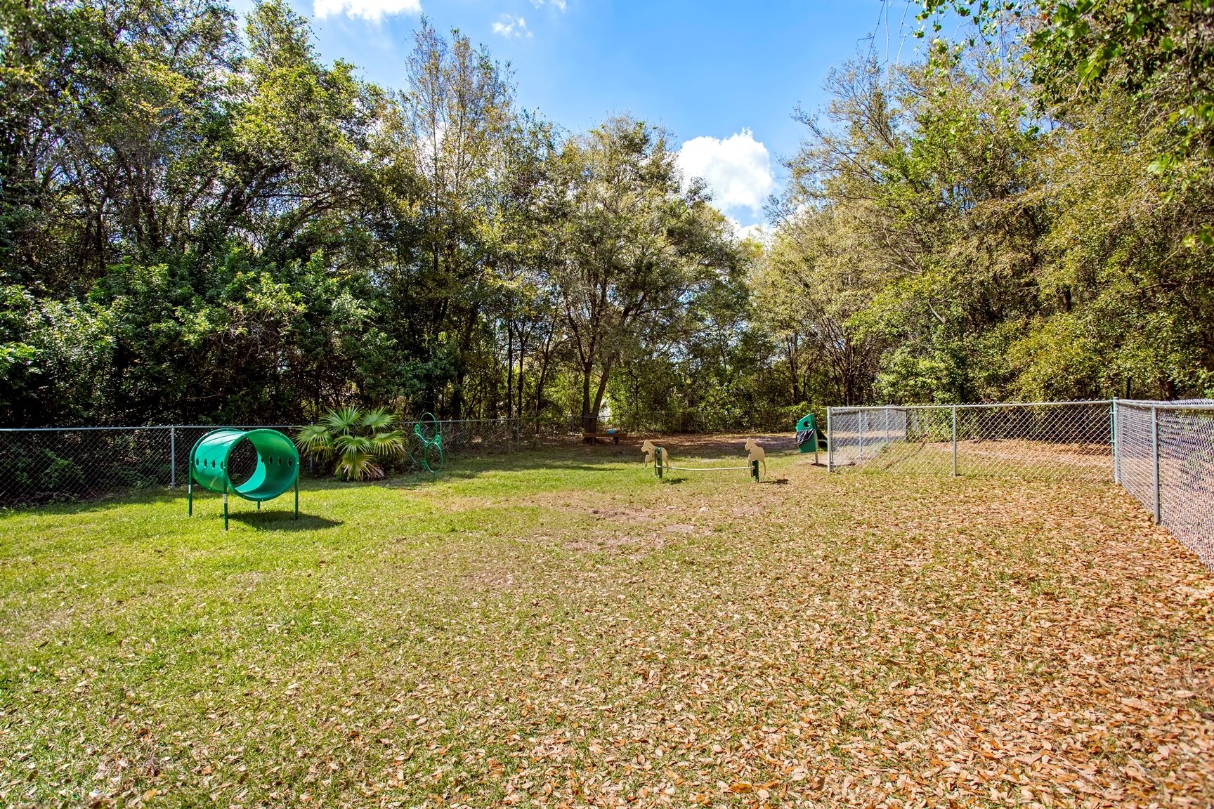 Sabal Palm at Carrollwood Image 21