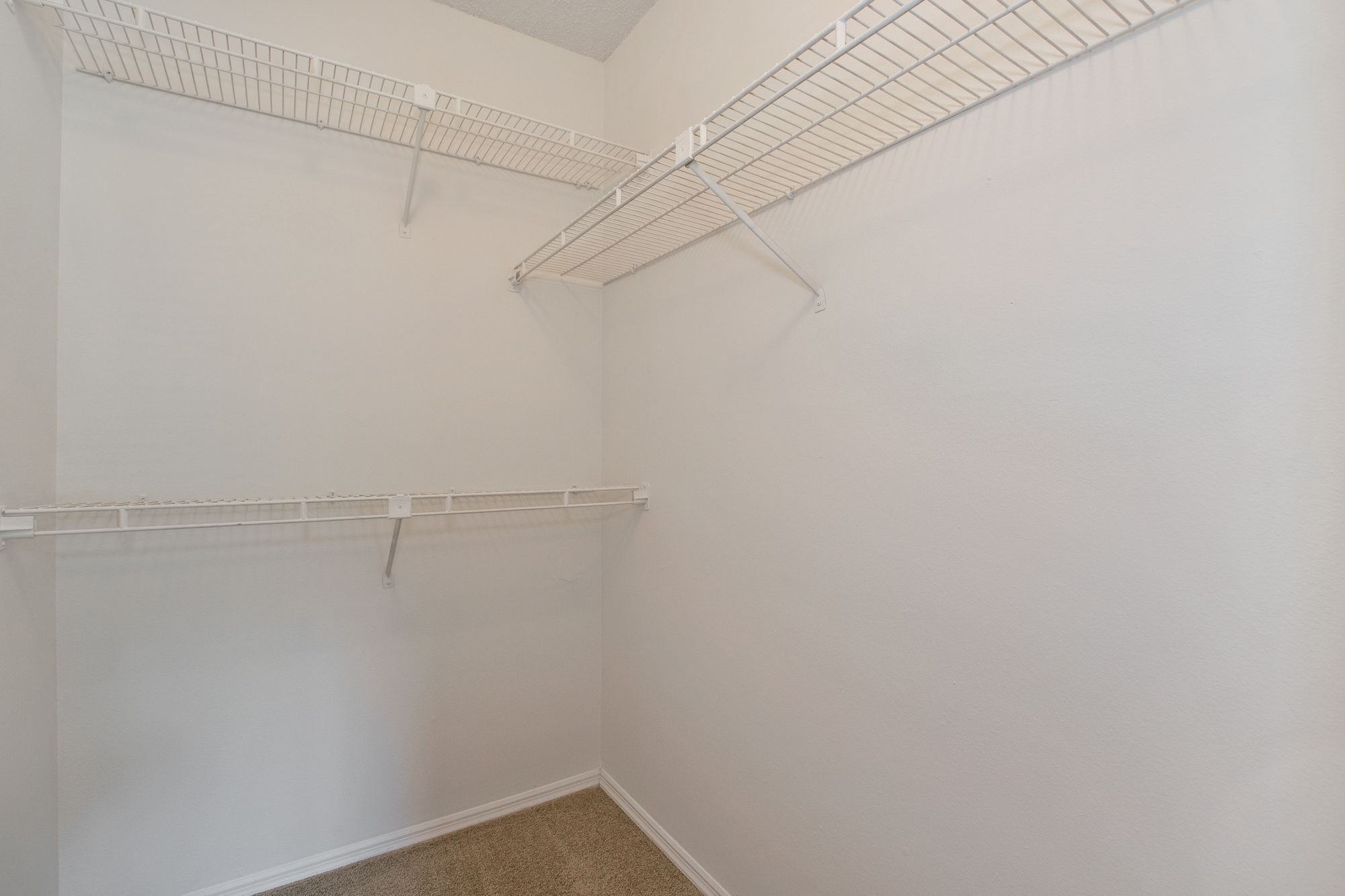 Twelve Oaks at Windemere Image 6