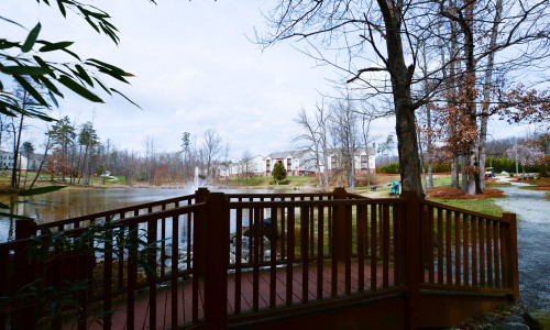 The Lodge at Lakeshore Image 3
