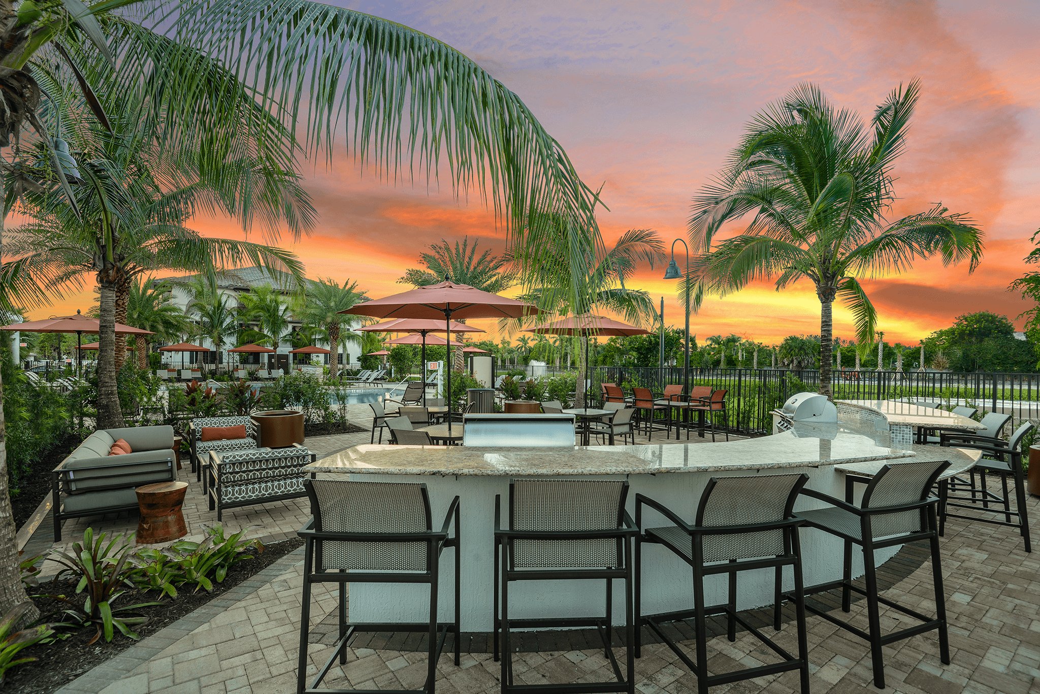 Palm Ranch Image 9