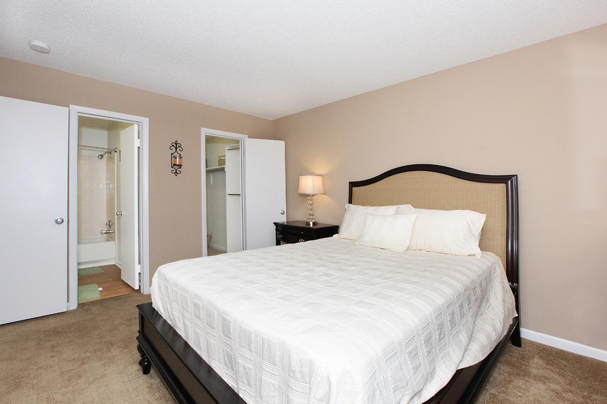 Trails at Bethabara Image 16