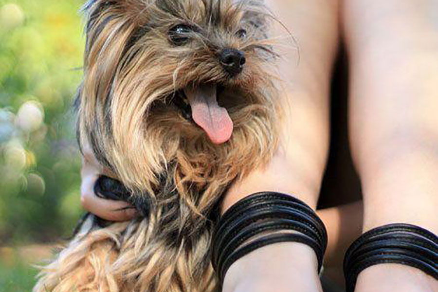 The Benjamin Seaport Residences Image 16