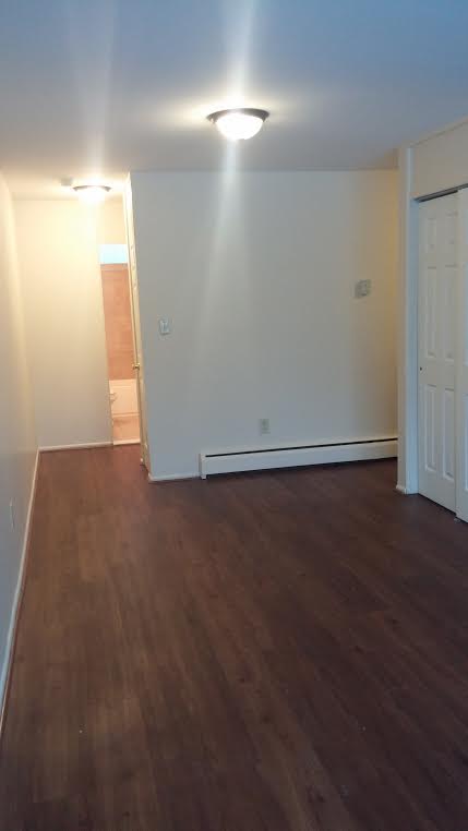 Dinning area in 1 Bedroom w/ vinyl Floors & Bypass closet doors