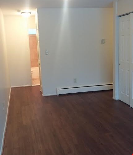 Dinning area in 1 Bedroom w/ vinyl Floors & Bypass closet doors