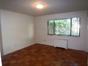 Scott Street Apartments Image 6