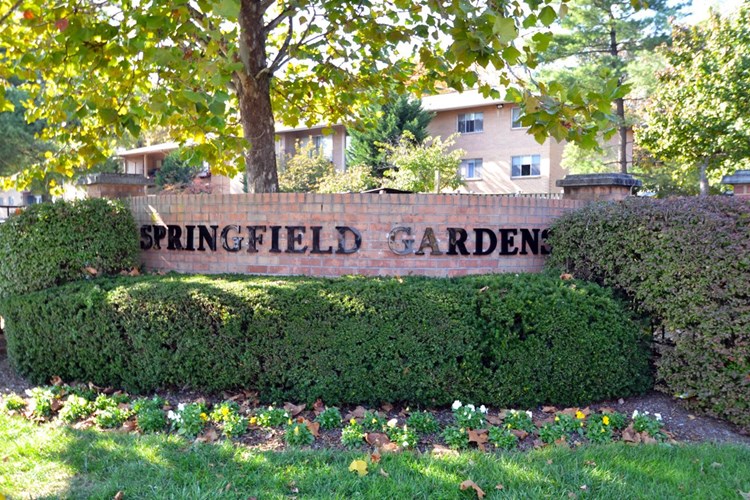 Springfield Gardens Image 3