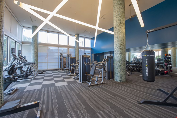 Pearl Residences at CityCentre  Image 60