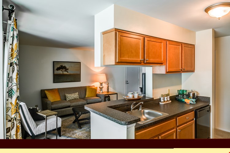 Treetops at Chester Hollow Image 21