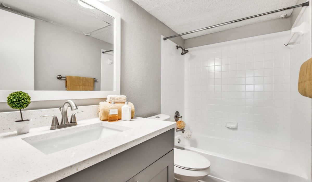 Birch Apartment Homes Image 4