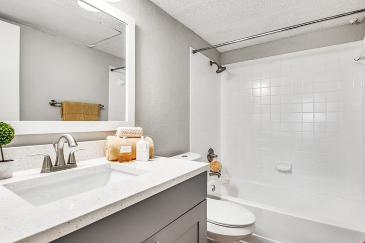 Birch Apartment Homes Image 4